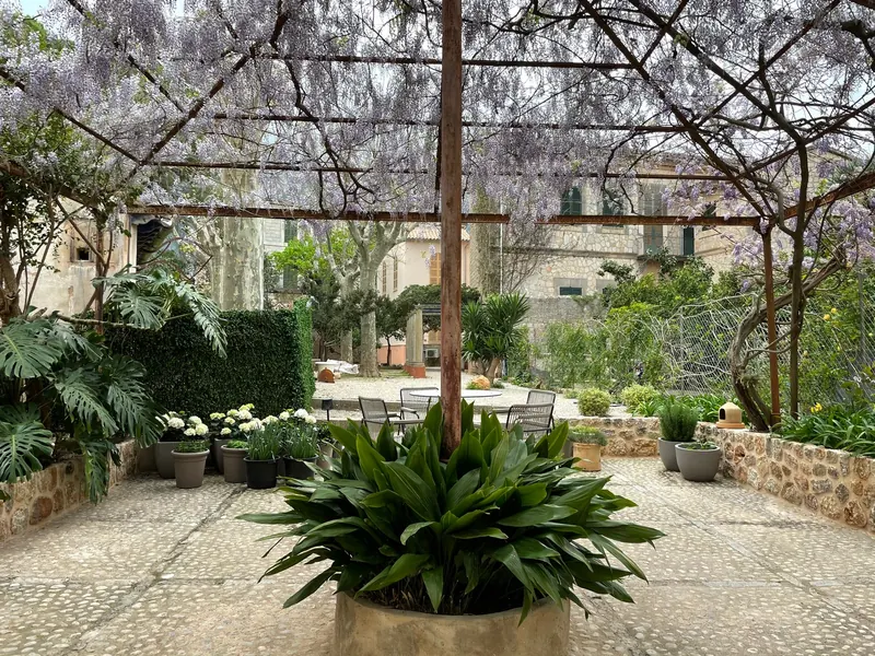 Angelina – Sanierung eines historischen Herrenhauses, Sóller, Mallorca (bild 28)